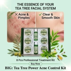 🌿 tea tree oil acne control facial kit – 8 pieces ✨